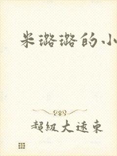 米璐璐的小说