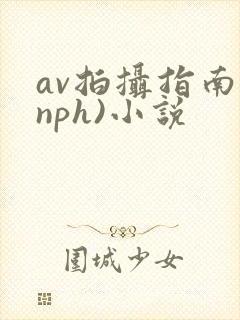 av拍摄指南(nph)小说