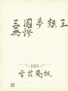 三国梦想王元姬无惨