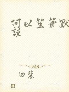 何以笙箫默 小说