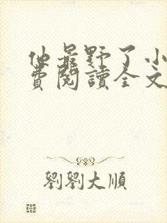 他最野了小说免费阅读全文