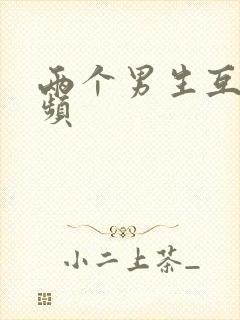 两个男生互操视频封面