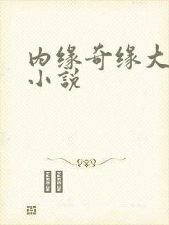 内缘奇缘大团圆小说
