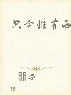 只今惟有西江月封面