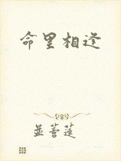 命里相逢封面
