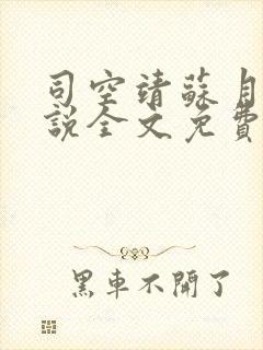 司空靖苏月汐小说全文免费阅读