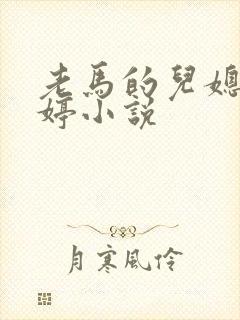 老马的儿媳顾婉婷小说