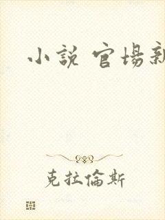 小说 官场新贵