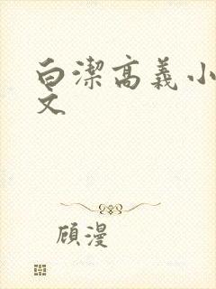 白洁高义小说全文