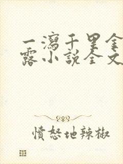 一泻千里金银花露小说全文免费阅读