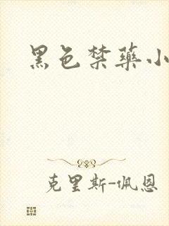 黑色禁药小说封面