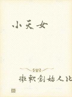 小天女封面