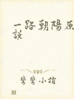 一路朝阳原著小说