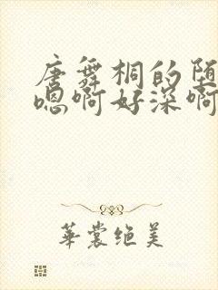 唐舞桐的堕落H嗯啊好深啊封面