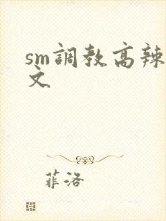 sm调教高辣h文