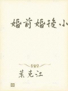 婚前婚后小说封面