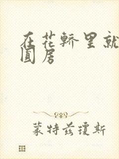 在花轿里就开始圆房