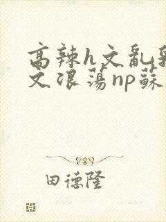 高辣h文乱乳h文浪荡np苏夏