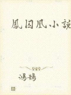 凤囚凰小说
