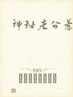 神秘老公惹不起