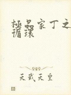 极品家丁之因果循环封面