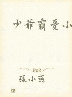 少爷霸爱小丫头封面