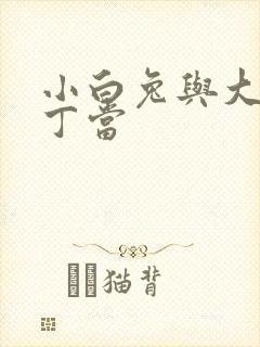 小白兔与大灰狼丁当