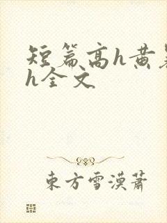 短篇高h黄暴辣h全文封面