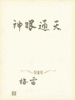 神眼通天封面