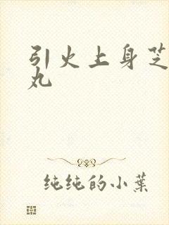 引火上身芝麻糖丸