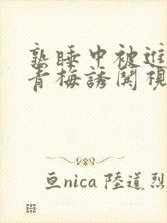 熟睡中被进了H青梅诱哄视频