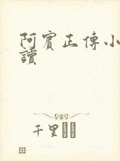 阿宾正传小说在读