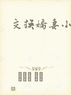 交换娇妻小说