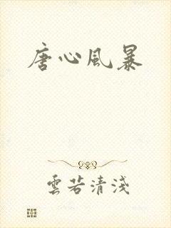 唐心风暴