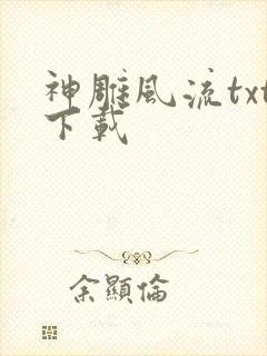 神雕风流txt下载