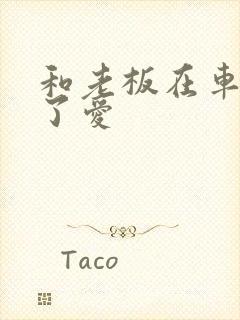 和老板在车里做了爱