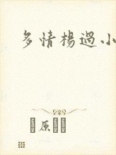 多情杨过小说封面