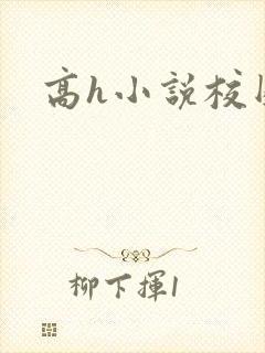 高h小说校园