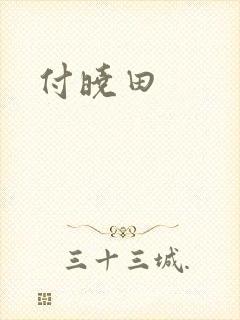 付晓田