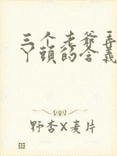 三个老爷弄一个丫头的含义封面