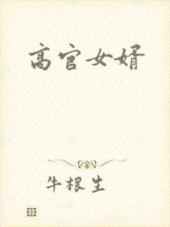 高官女婿封面