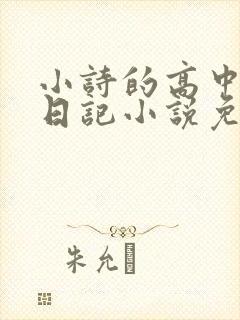 小诗的高中成长日记小说免费阅读