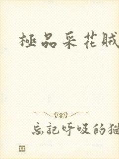 极品采花贼