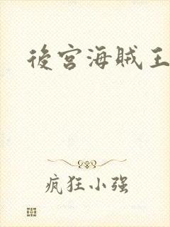 后宫海贼王