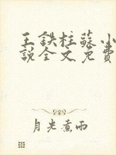 王铁柱苏小汐小说全文免费阅读最新章节封面