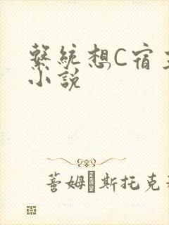 系统想C宿主的小说