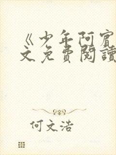 《少年阿宾》全文免费阅读