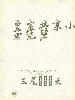 皇家共享小公主萧凭儿