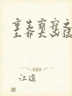 重生霸宠之摄政王爷太凶猛