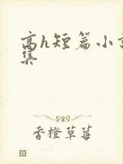 高h短篇小说合集